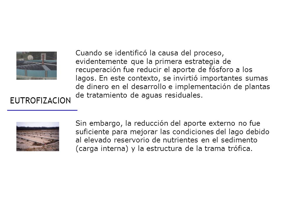 Cuando se identificó la causa del proceso, evidentemente que la primera estrategia de recuperación fue reducir el aporte de fósforo a los lagos. En este contexto, se invirtió importantes sumas de dinero en el desarrollo e implementación de plantas de tratamiento de aguas residuales.