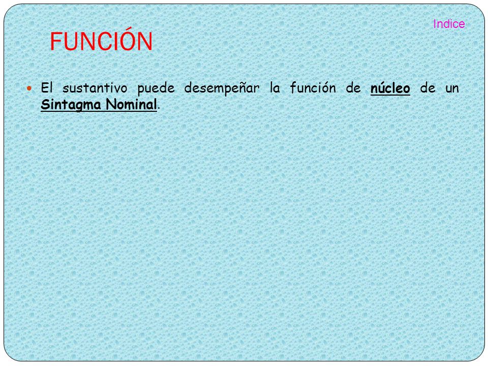 FUNCIÓN Indice El sustantivo puede desempeñar la función de núcleo de un Sintagma Nominal.