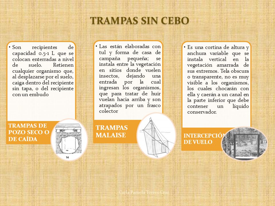 TRAMPAS SIN CEBO TRAMPAS MALAISE TRAMPAS DE POZO SECO O DE CAÍDA