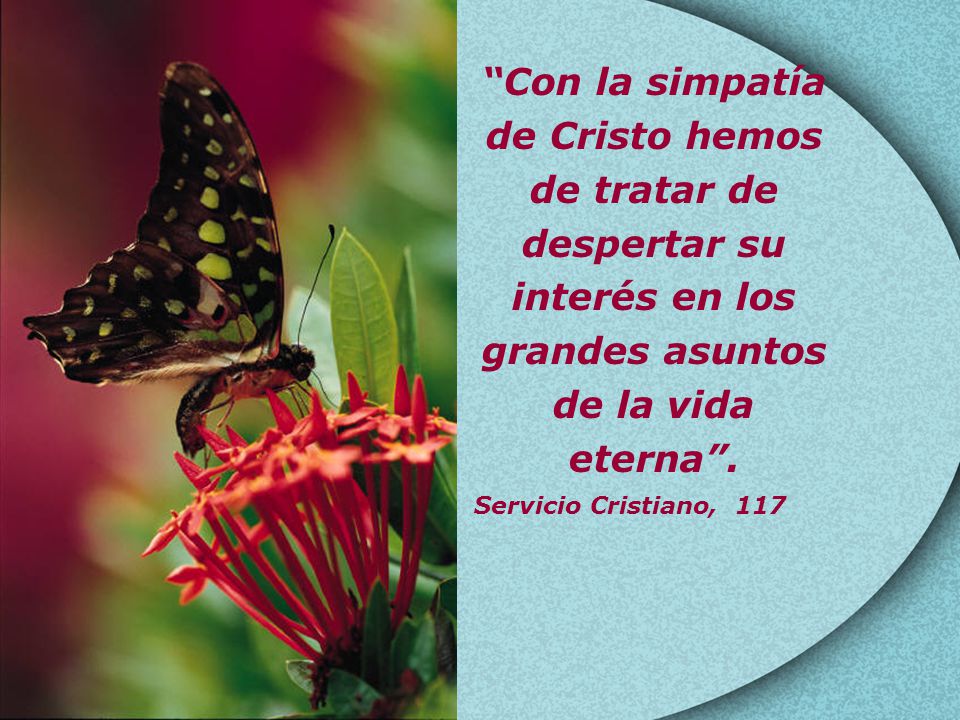 Con la simpatía de Cristo hemos de tratar de despertar su interés en los grandes asuntos de la vida eterna .