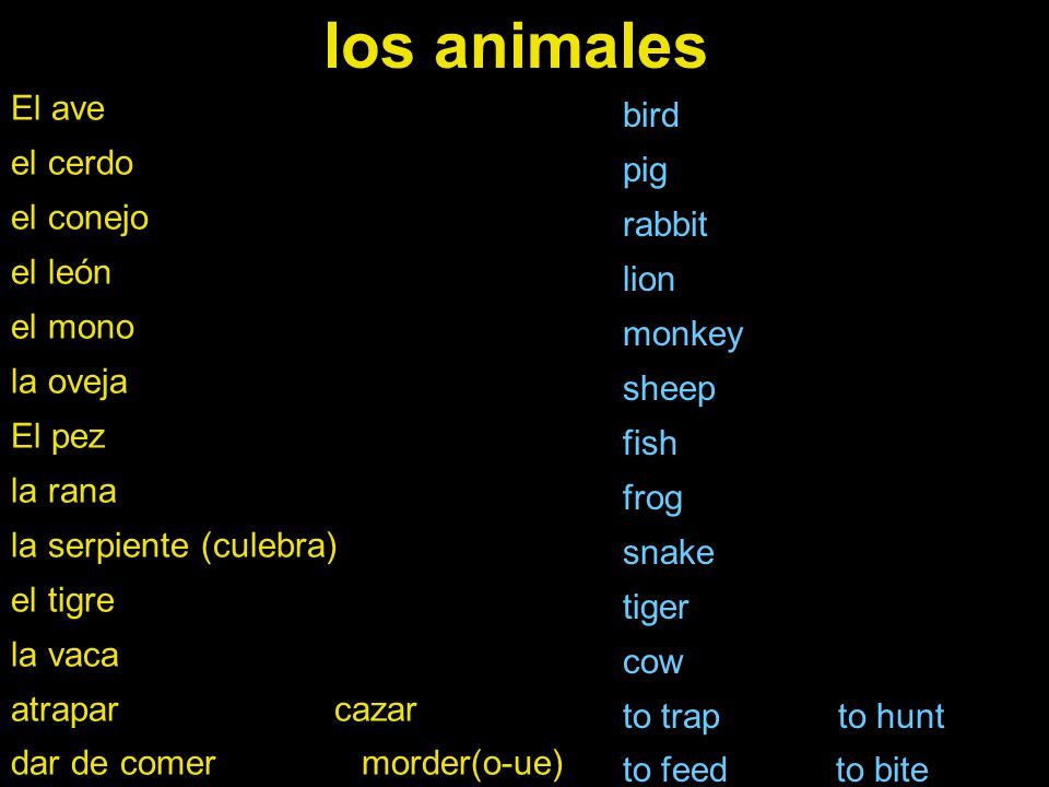 los animales El ave bird el cerdo pig el conejo rabbit el león lion