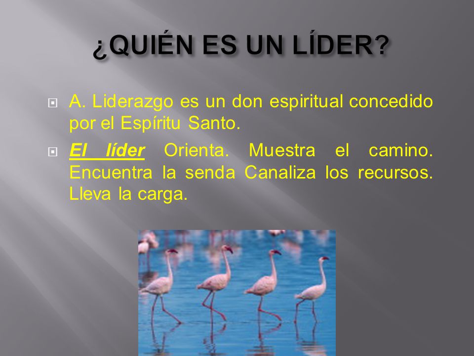 ¿QUIÉN ES UN LÍDER A. Liderazgo es un don espiritual concedido por el Espíritu Santo.