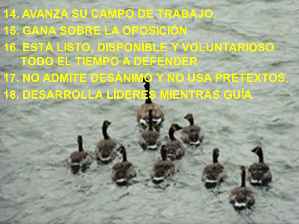 14. AVANZA SU CAMPO DE TRABAJO, 15. GANA SOBRE LA OPOSICIÓN 16