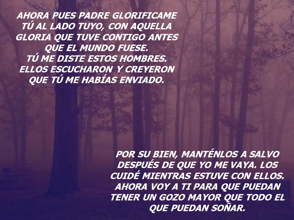AHORA PUES PADRE GLORIFICAME TÚ AL LADO TUYO, CON AQUELLA GLORIA QUE TUVE CONTIGO ANTES QUE EL MUNDO FUESE.