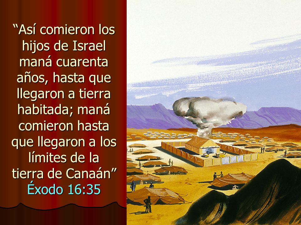 Así comieron los hijos de Israel maná cuarenta años, hasta que llegaron a tierra habitada; maná comieron hasta que llegaron a los límites de la tierra de Canaán Éxodo 16:35