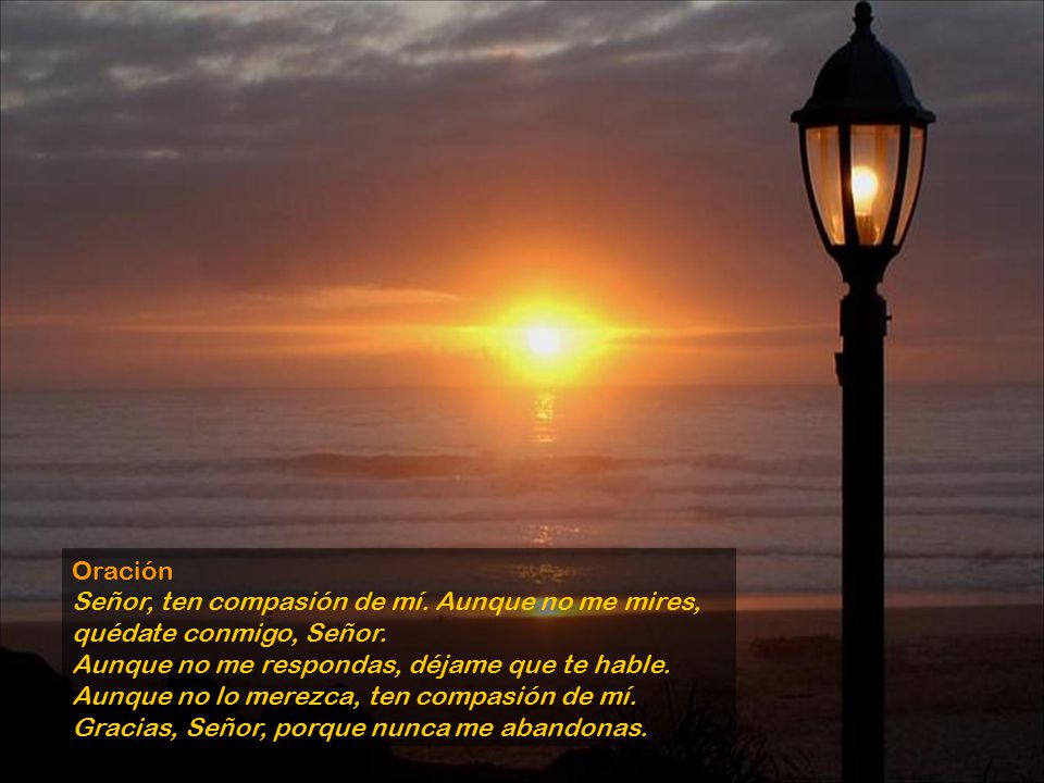 Oración Señor, ten compasión de mí. Aunque no me mires, quédate conmigo, Señor. Aunque no me respondas, déjame que te hable.