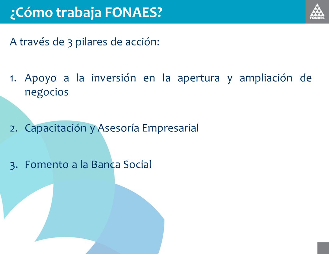 ¿Cómo trabaja FONAES A través de 3 pilares de acción: