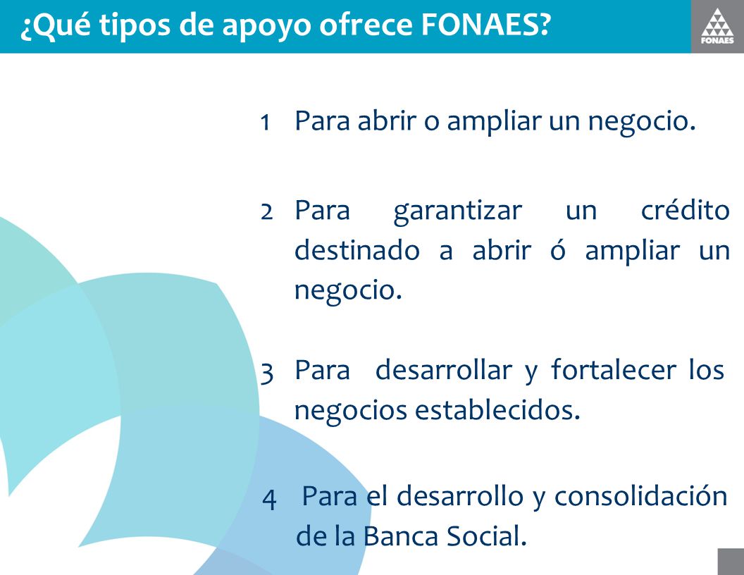 ¿Qué tipos de apoyo ofrece FONAES