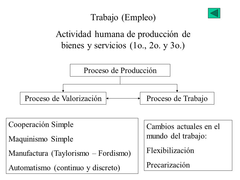 Actividad humana de producción de bienes y servicios (1o., 2o. y 3o.)