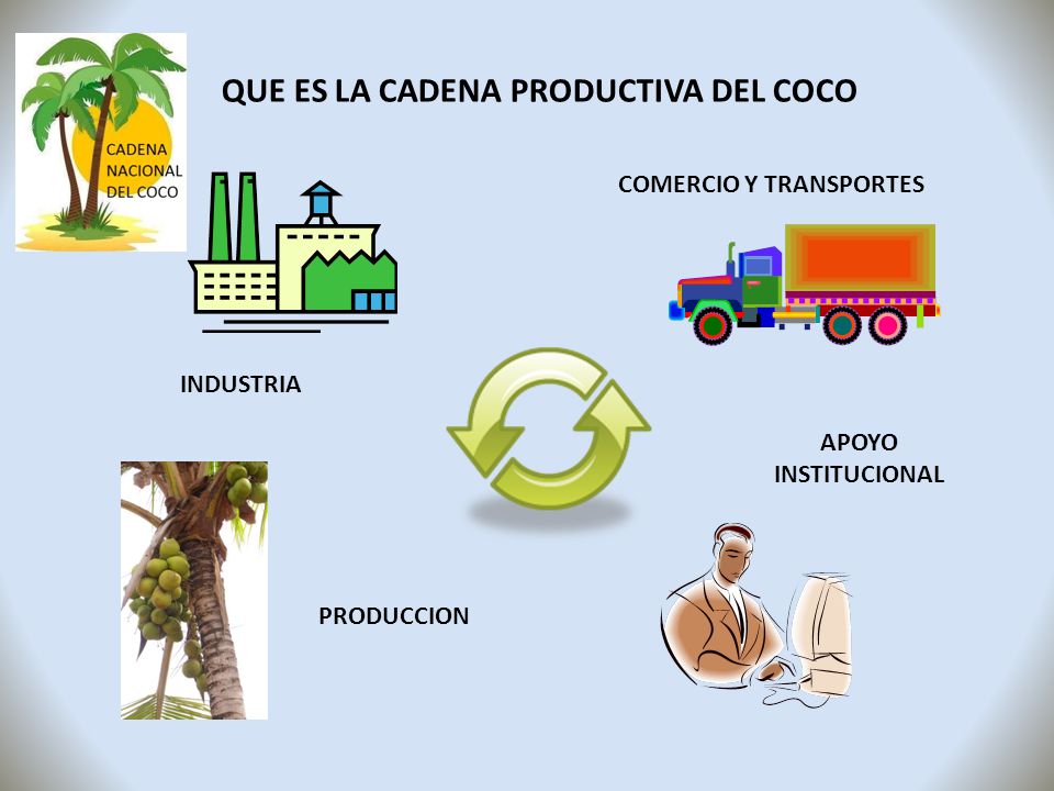 QUE ES LA CADENA PRODUCTIVA DEL COCO COMERCIO Y TRANSPORTES