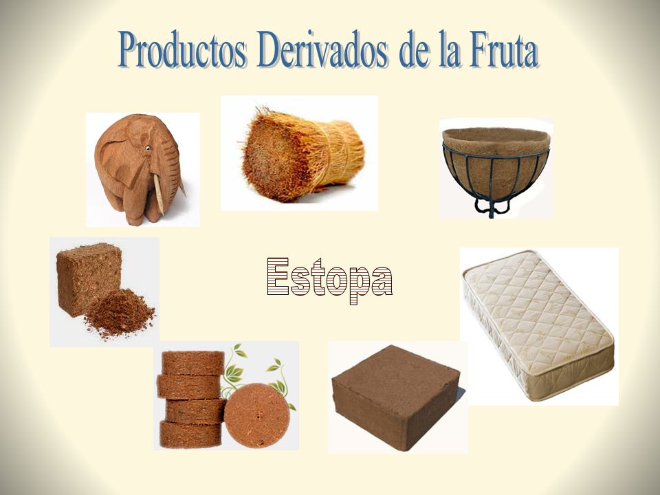 Productos Derivados de la Fruta