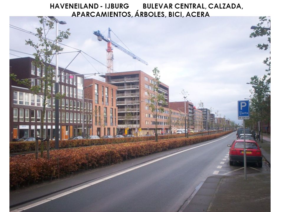 HAVENEILAND - IJBURG BULEVAR CENTRAL, CALZADA, APARCAMIENTOS, ÁRBOLES, BICI, ACERA