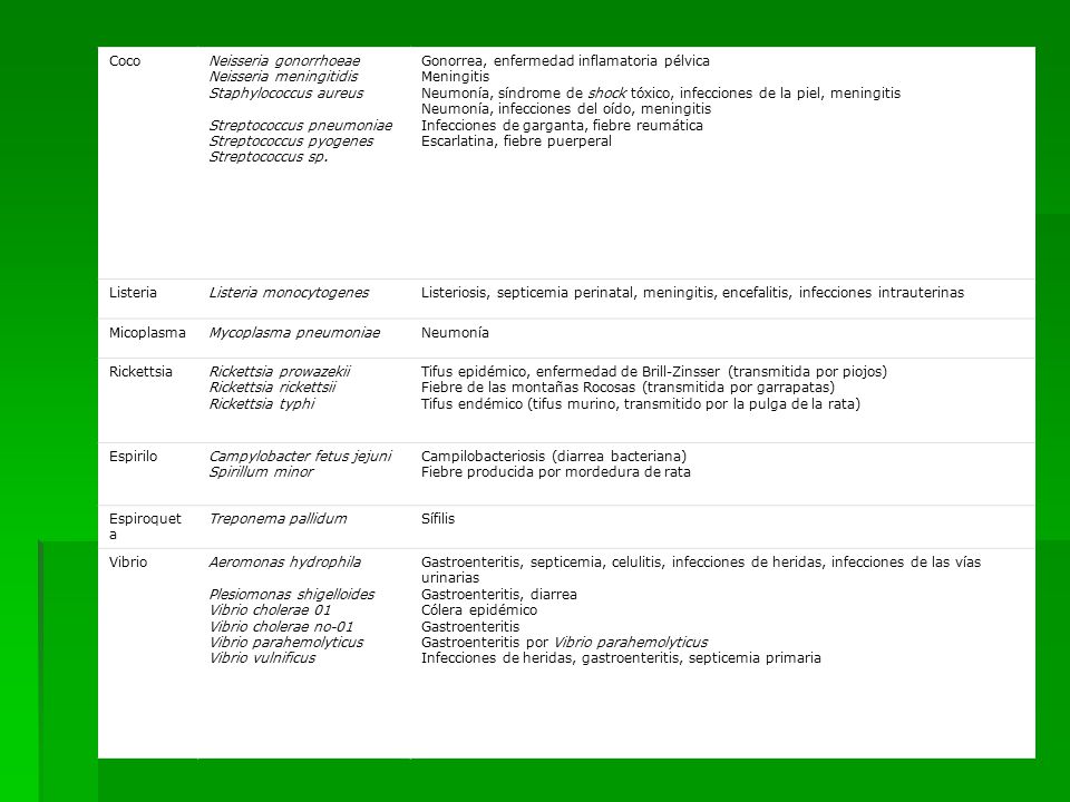Coco Neisseria gonorrhoeae Neisseria meningitidis Staphylococcus aureus Streptococcus pneumoniae Streptococcus pyogenes Streptococcus sp.