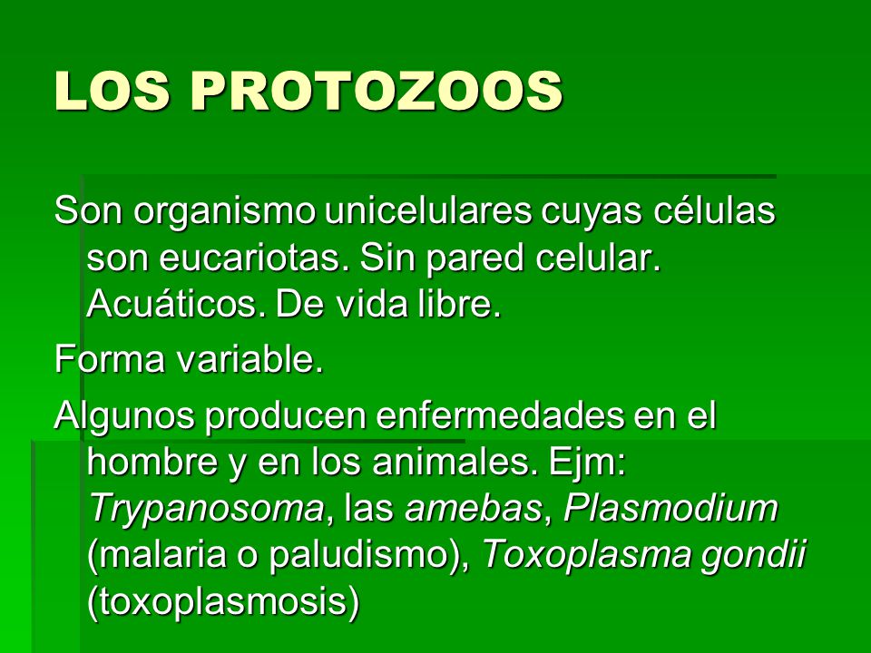 LOS PROTOZOOS Son organismo unicelulares cuyas células son eucariotas. Sin pared celular. Acuáticos. De vida libre.