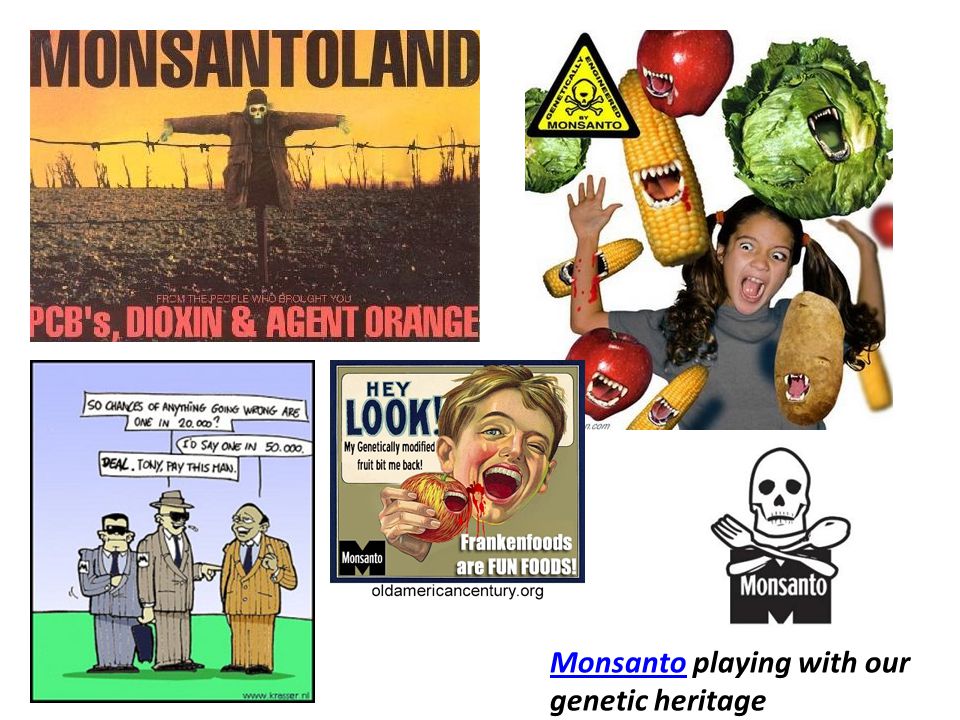 Monsanto playing with our genetic heritage