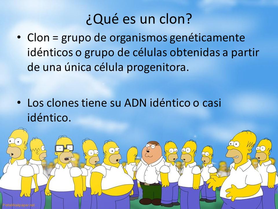 ¿Qué es un clon Clon = grupo de organismos genéticamente idénticos o grupo de células obtenidas a partir de una única célula progenitora.