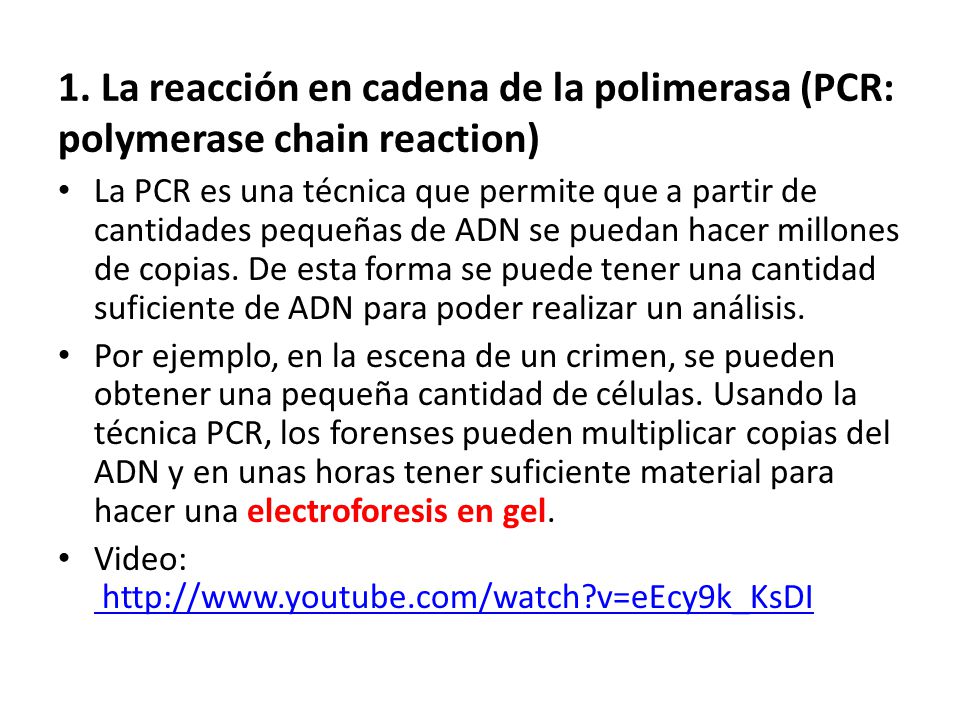 1. La reacción en cadena de la polimerasa (PCR: polymerase chain reaction)