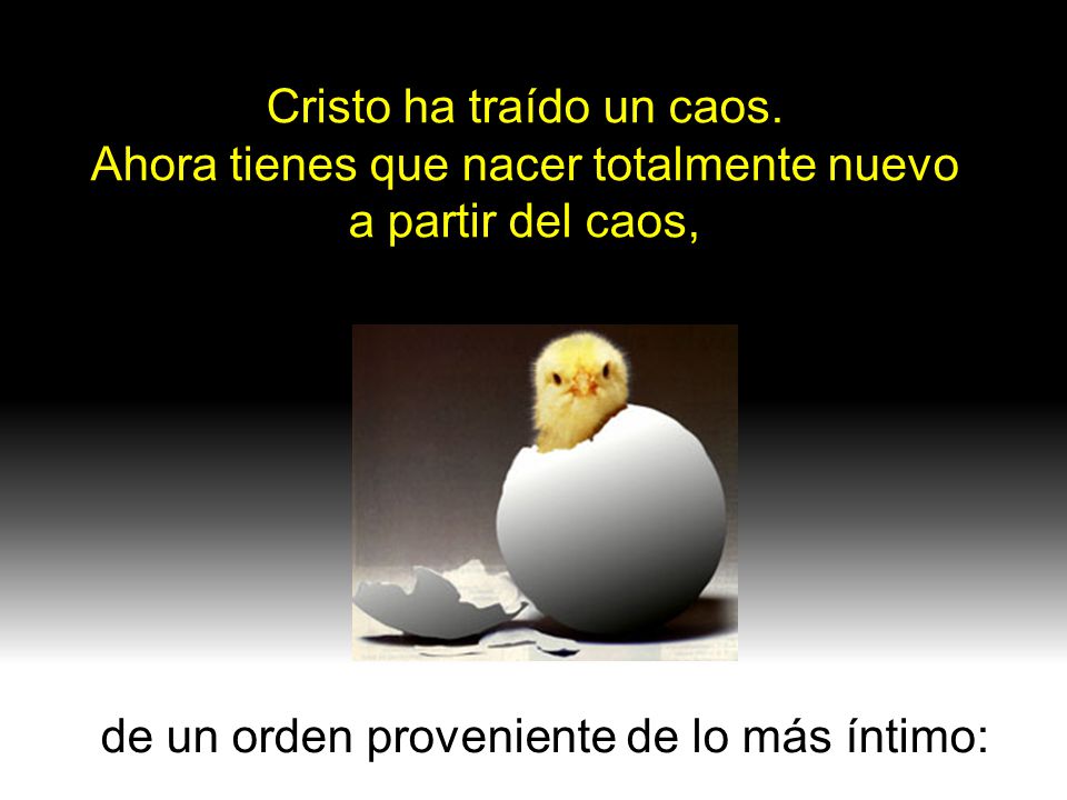 Cristo ha traído un caos. Ahora tienes que nacer totalmente nuevo