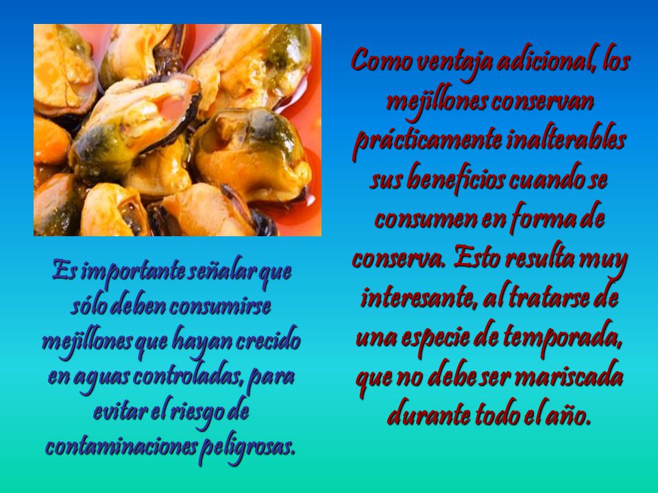 Como ventaja adicional, los mejillones conservan prácticamente inalterables sus beneficios cuando se consumen en forma de conserva. Esto resulta muy interesante, al tratarse de una especie de temporada, que no debe ser mariscada durante todo el año.