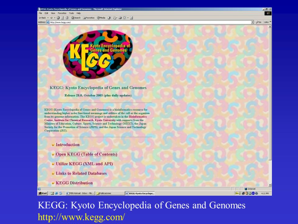 KEGG: Kyoto Encyclopedia of Genes and Genomes