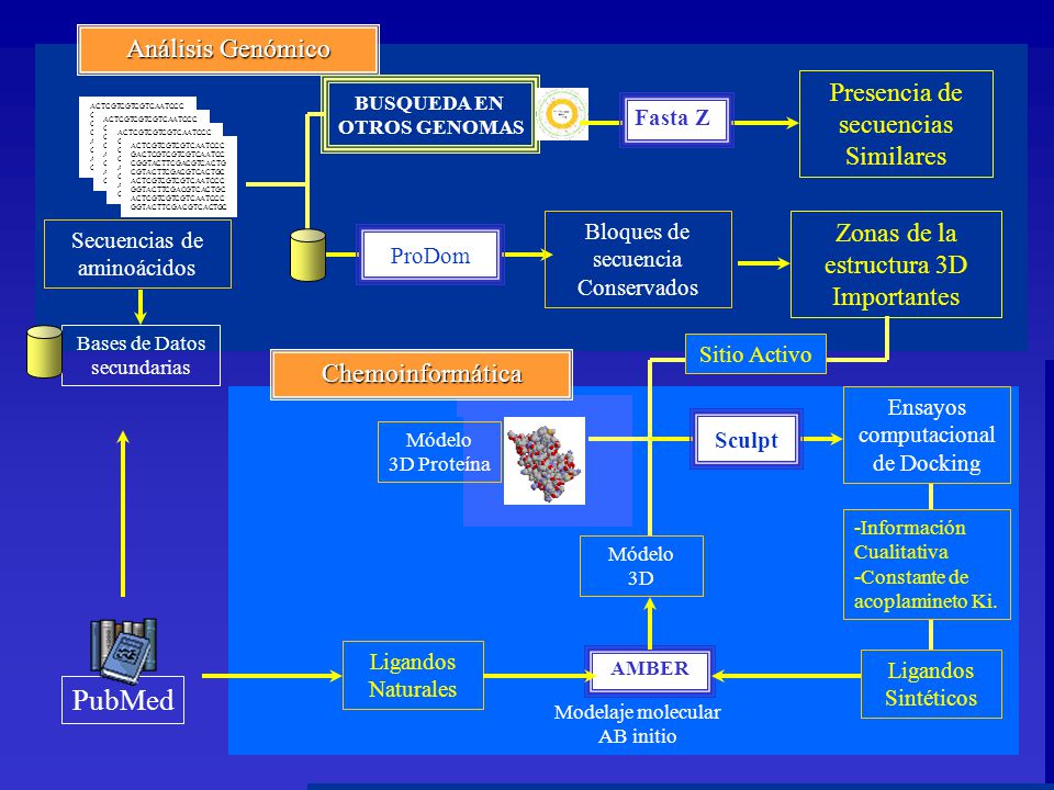 PubMed Análisis Genómico Presencia de secuencias Similares Zonas de la