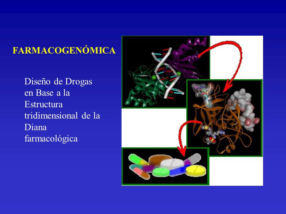 FARMACOGENÓMICA Diseño de Drogas en Base a la Estructura tridimensional de la Diana farmacológica