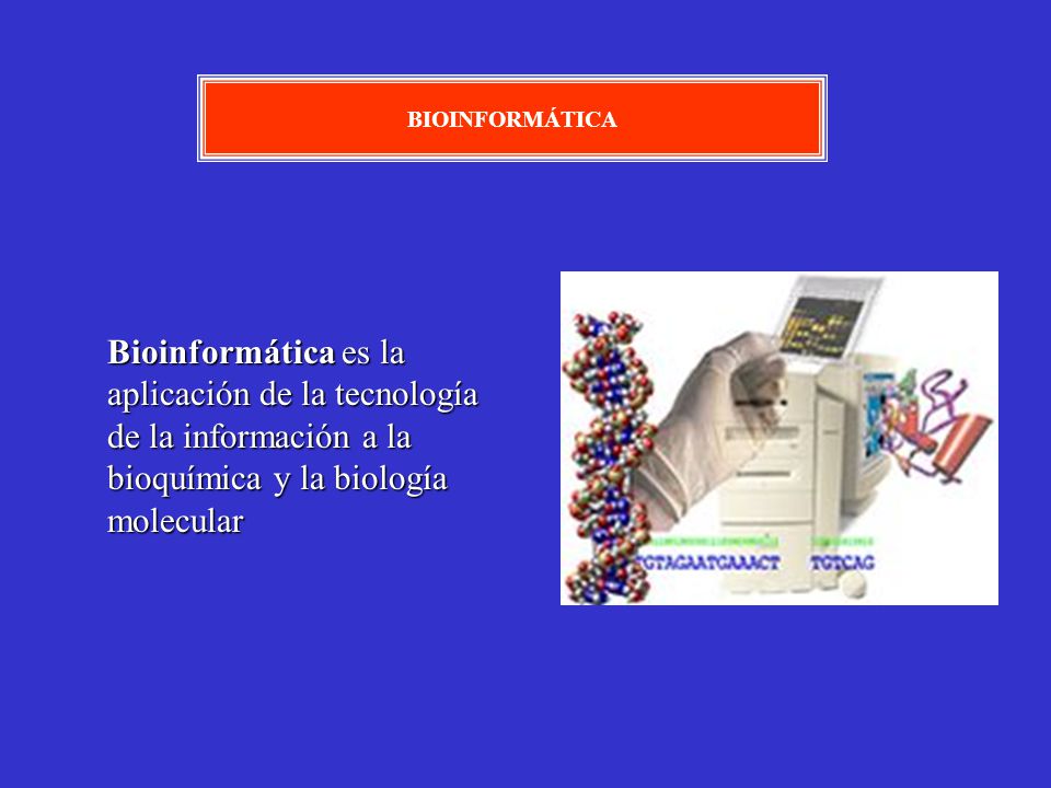 BIOINFORMÁTICA Bioinformática es la aplicación de la tecnología de la información a la bioquímica y la biología molecular.