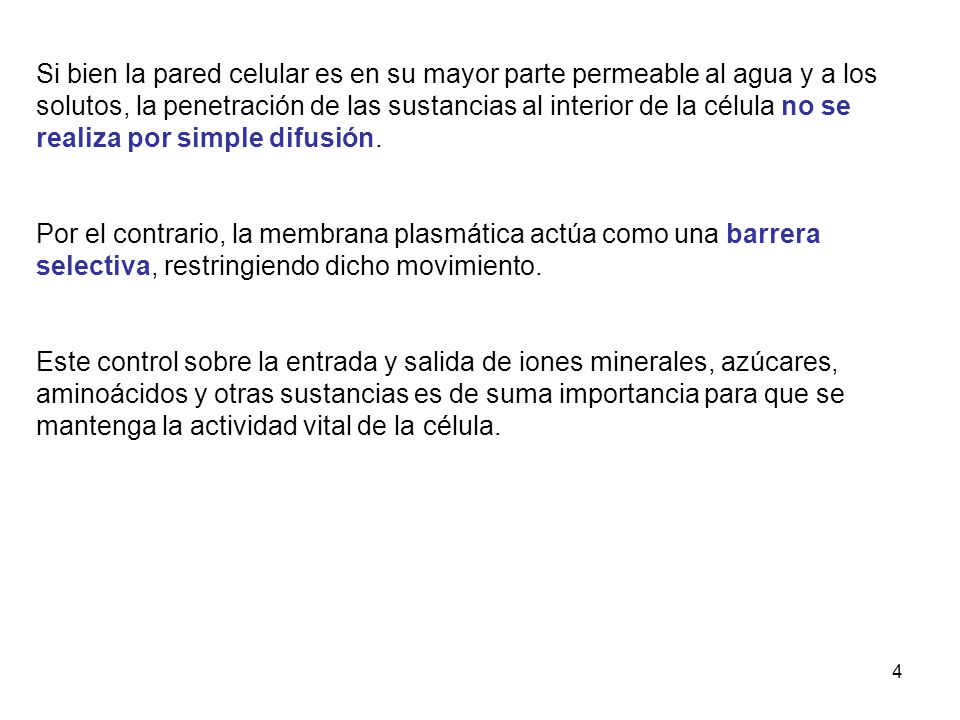 Si bien la pared celular es en su mayor parte permeable al agua y a los solutos, la penetración de las sustancias al interior de la célula no se realiza por simple difusión.