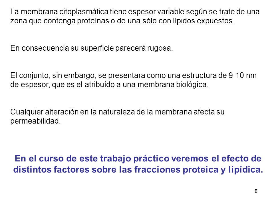 La membrana citoplasmática tiene espesor variable según se trate de una zona que contenga proteínas o de una sólo con lípidos expuestos.