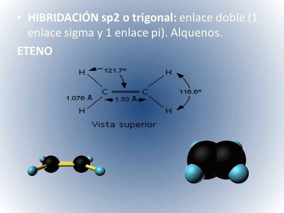 HIBRIDACIÓN sp2 o trigonal: enlace doble (1 enlace sigma y 1 enlace pi). Alquenos.