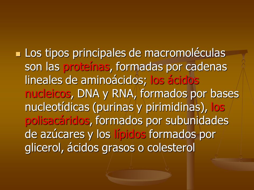 Los tipos principales de macromoléculas son las proteínas, formadas por cadenas lineales de aminoácidos; los ácidos nucleicos, DNA y RNA, formados por bases nucleotídicas (purinas y pirimidinas), los polisacáridos, formados por subunidades de azúcares y los lípidos formados por glicerol, ácidos grasos o colesterol
