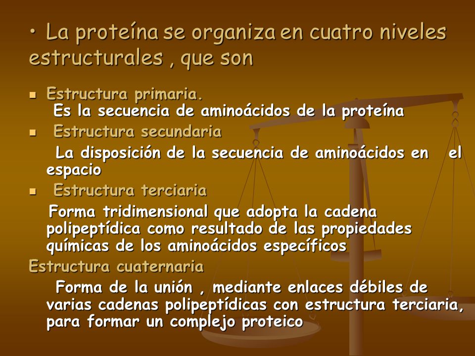 La proteína se organiza en cuatro niveles estructurales , que son