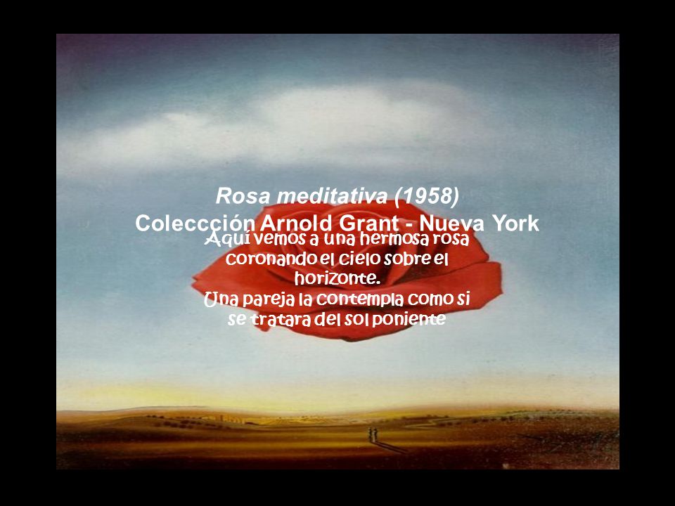 Rosa meditativa (1958) Coleccción Arnold Grant - Nueva York