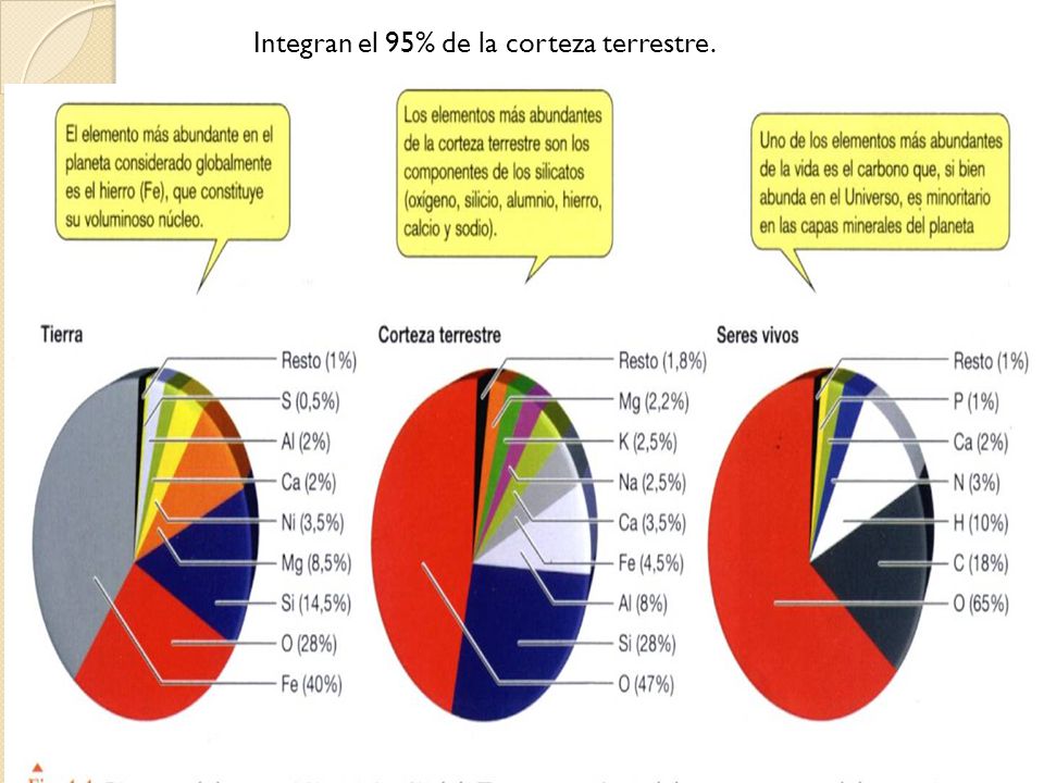 Integran el 95% de la corteza terrestre.