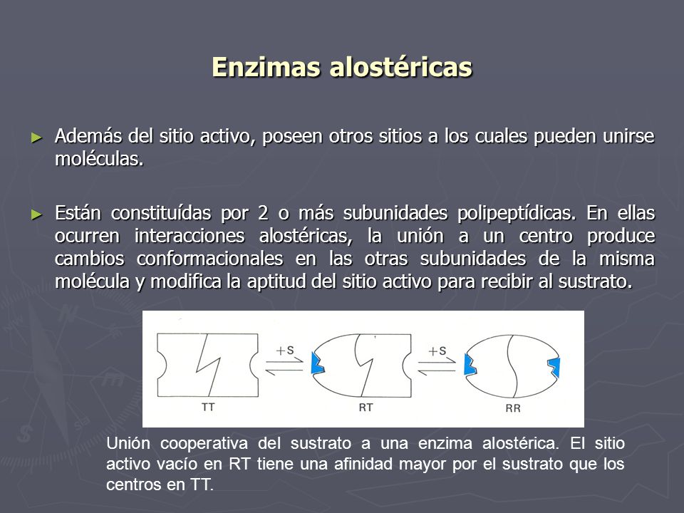 Enzimas alostéricas Además del sitio activo, poseen otros sitios a los cuales pueden unirse moléculas.