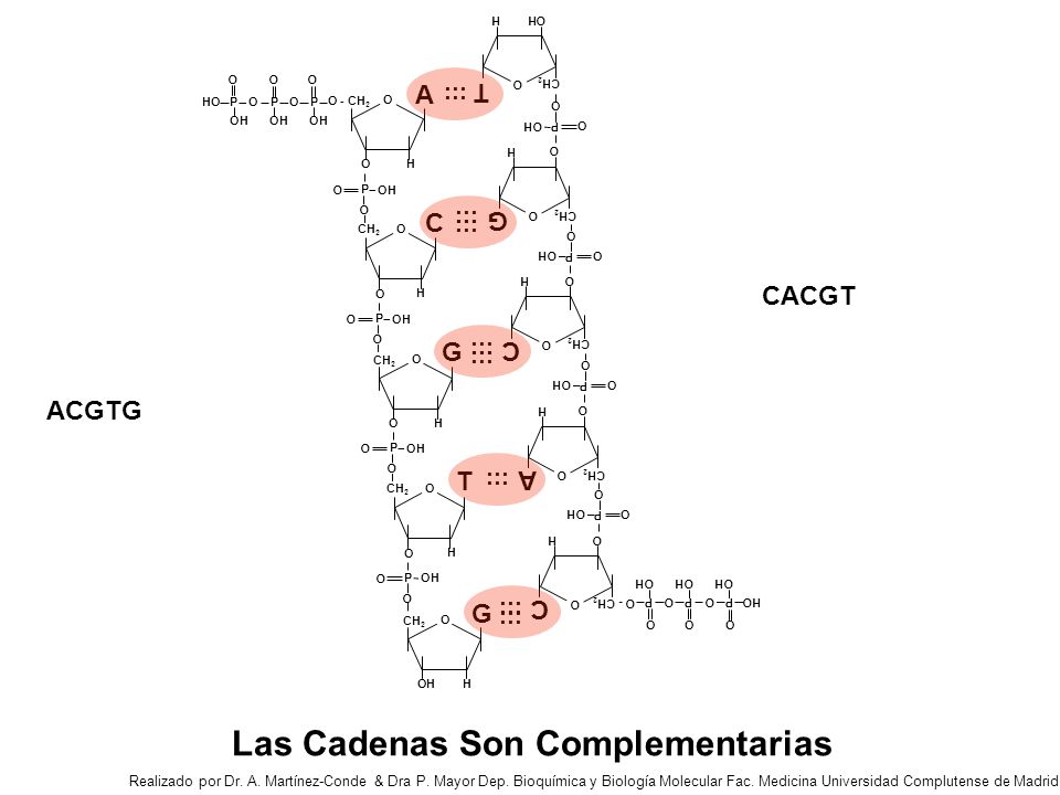 Las Cadenas Son Complementarias