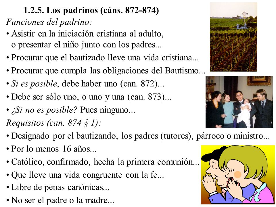 Los padrinos (cáns ) Funciones del padrino: Asistir en la iniciación cristiana al adulto, o presentar el niño junto con los padres...