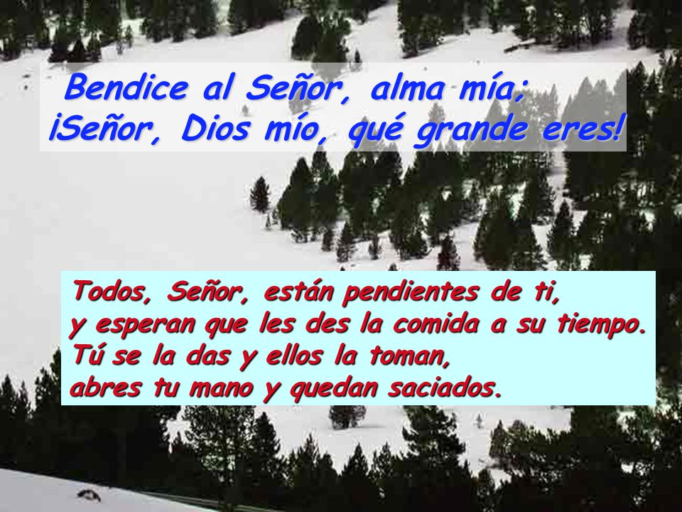 Bendice al Señor, alma mía; ¡Señor, Dios mío, qué grande eres!