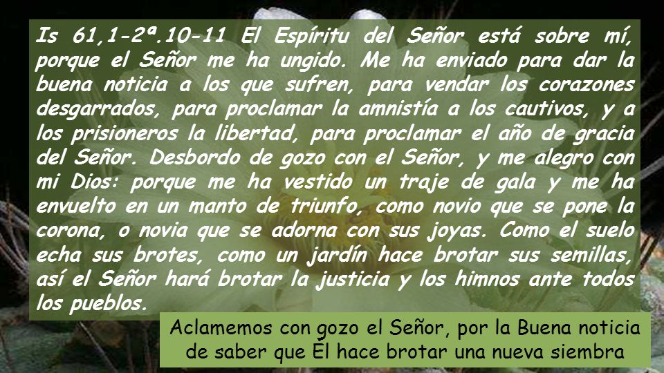 Is 61,1-2ª El Espíritu del Señor está sobre mí, porque el Señor me ha ungido. Me ha enviado para dar la buena noticia a los que sufren, para vendar los corazones desgarrados, para proclamar la amnistía a los cautivos, y a los prisioneros la libertad, para proclamar el año de gracia del Señor. Desbordo de gozo con el Señor, y me alegro con mi Dios: porque me ha vestido un traje de gala y me ha envuelto en un manto de triunfo, como novio que se pone la corona, o novia que se adorna con sus joyas. Como el suelo echa sus brotes, como un jardín hace brotar sus semillas, así el Señor hará brotar la justicia y los himnos ante todos los pueblos.