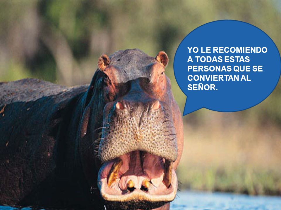 YO LE RECOMIENDO A TODAS ESTAS PERSONAS QUE SE CONVIERTAN AL SEÑOR.