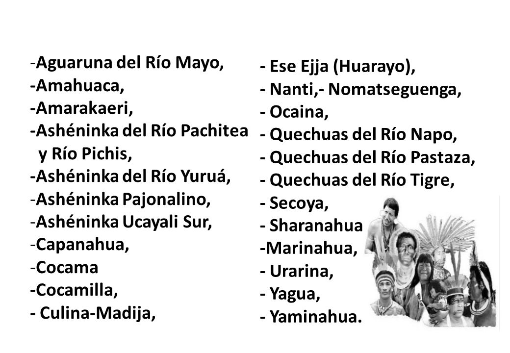 Aguaruna del Río Mayo, -Amahuaca, -Amarakaeri, -Ashéninka del Río Pachitea. y Río Pichis, -Ashéninka del Río Yuruá,