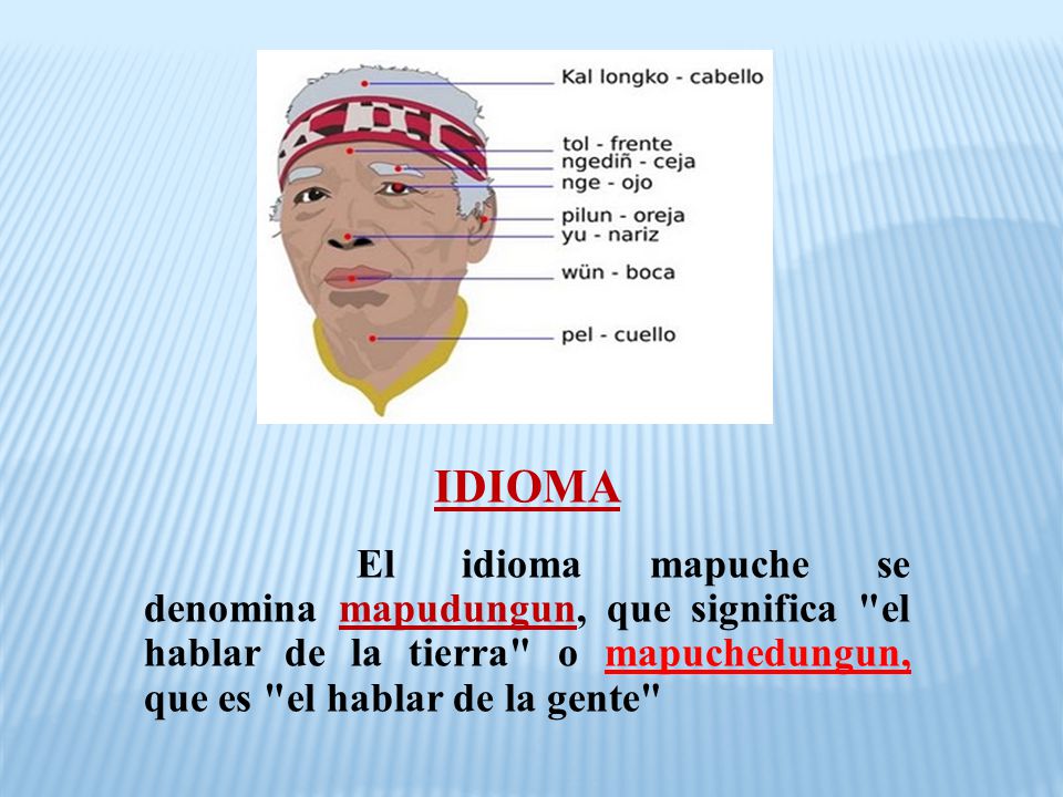IDIOMA El idioma mapuche se denomina mapudungun, que significa el hablar de la tierra o mapuchedungun, que es el hablar de la gente