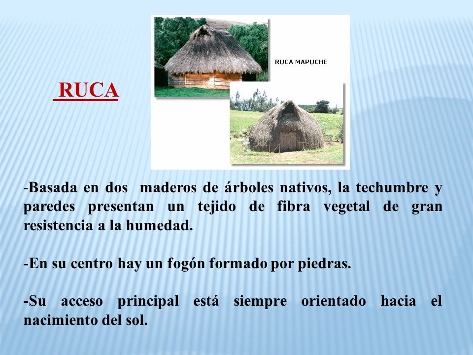 RUCA -Basada en dos maderos de árboles nativos, la techumbre y paredes presentan un tejido de fibra vegetal de gran resistencia a la humedad.