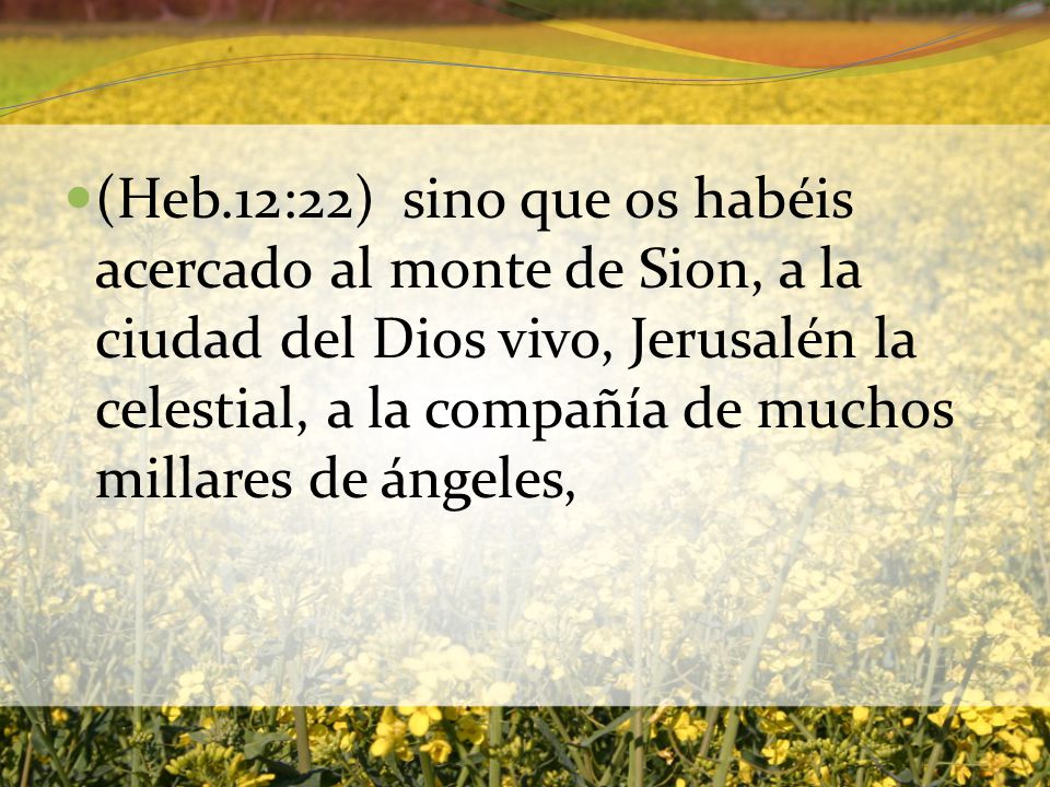 (Heb.12:22) sino que os habéis acercado al monte de Sion, a la ciudad del Dios vivo, Jerusalén la celestial, a la compañía de muchos millares de ángeles,
