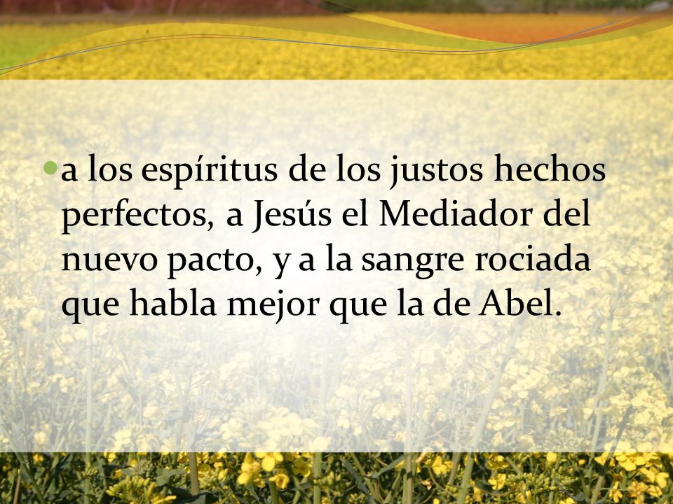 a los espíritus de los justos hechos perfectos, a Jesús el Mediador del nuevo pacto, y a la sangre rociada que habla mejor que la de Abel.