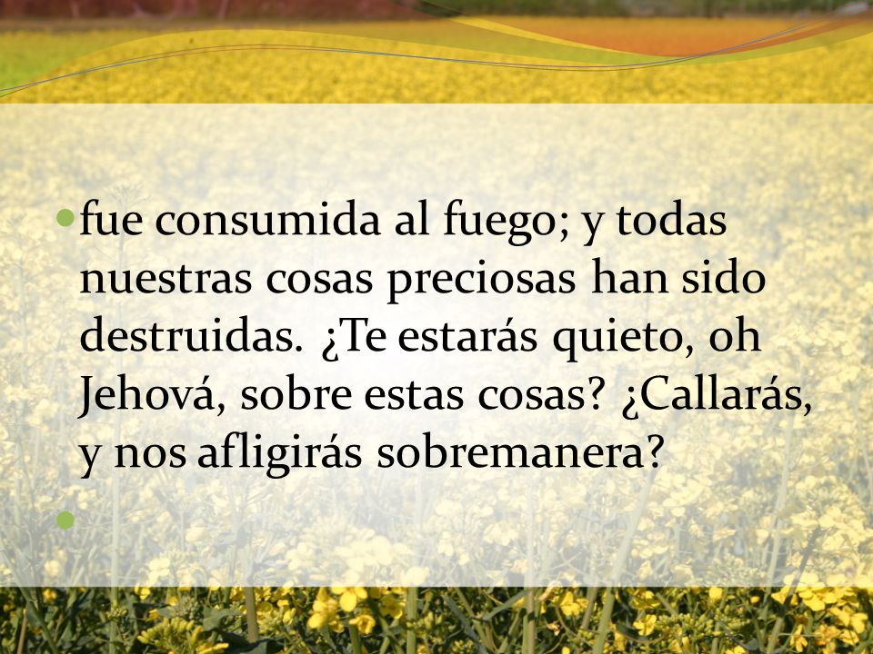 fue consumida al fuego; y todas nuestras cosas preciosas han sido destruidas.