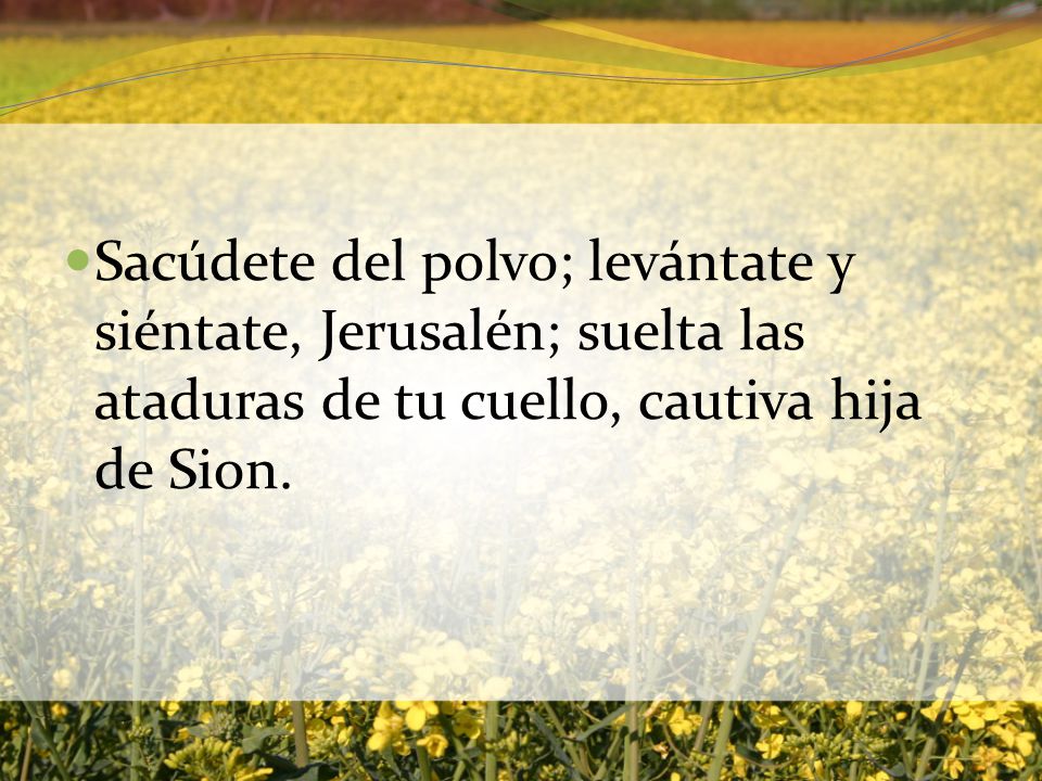 Sacúdete del polvo; levántate y siéntate, Jerusalén; suelta las ataduras de tu cuello, cautiva hija de Sion.