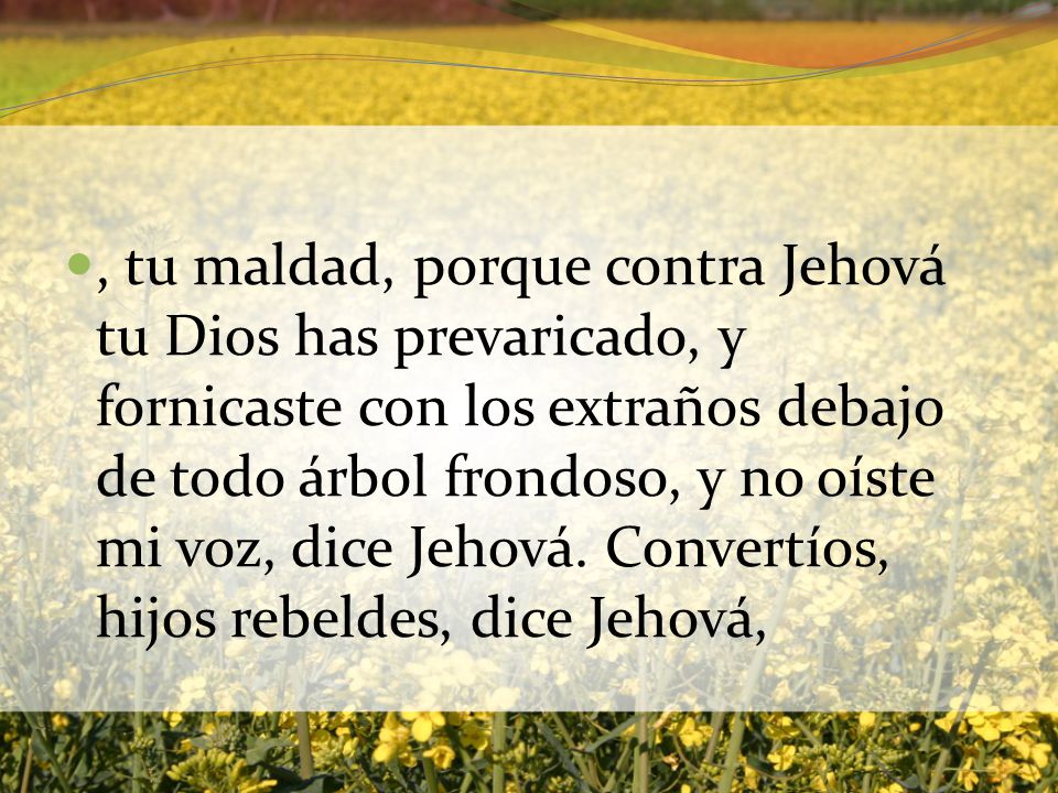 , tu maldad, porque contra Jehová tu Dios has prevaricado, y fornicaste con los extraños debajo de todo árbol frondoso, y no oíste mi voz, dice Jehová.