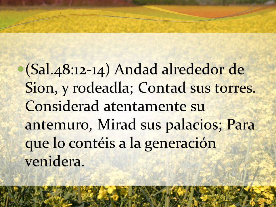 (Sal. 48:12-14) Andad alrededor de Sion, y rodeadla; Contad sus torres