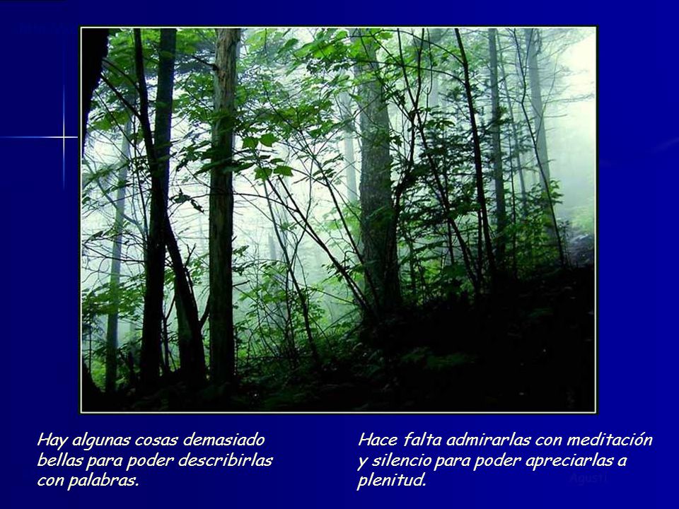 Hay algunas cosas demasiado bellas para poder describirlas con palabras.